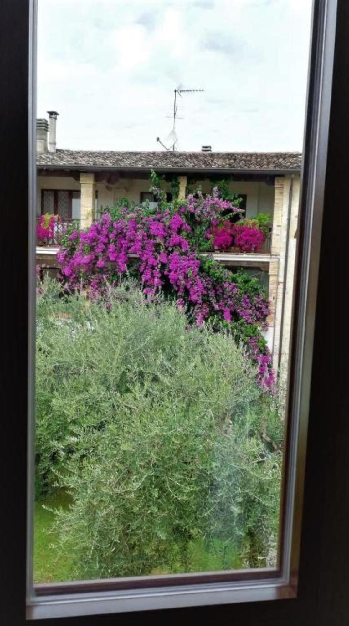 Dolce Lago B&B San Felice del Benaco Zewnętrze zdjęcie
