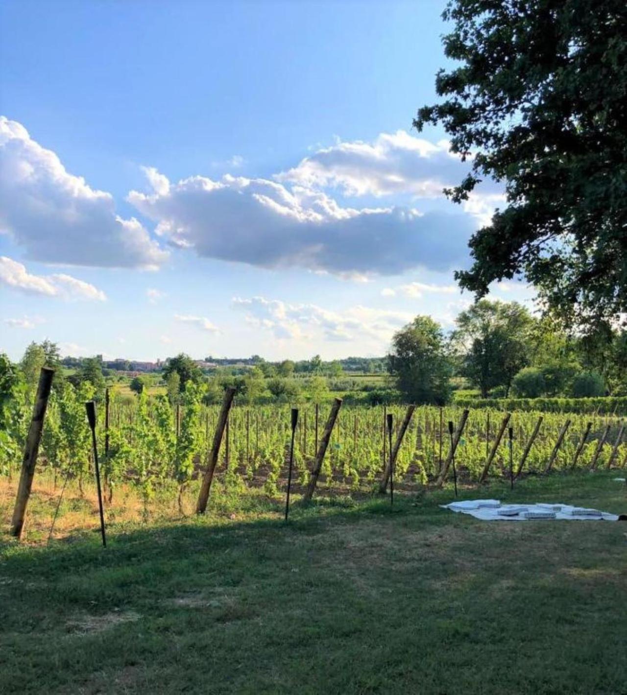 Dolce Lago B&B San Felice del Benaco Zewnętrze zdjęcie